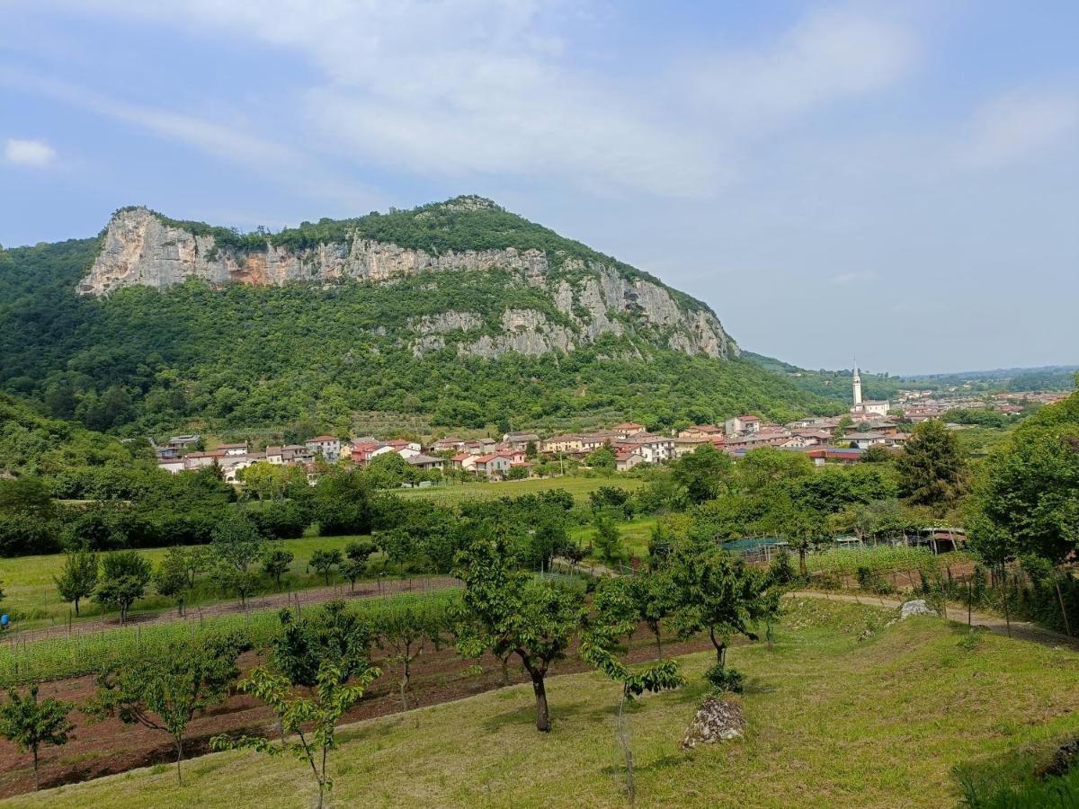 Boutique Apartment Alla Dolce Vita วิเชนซา ภายนอก รูปภาพ